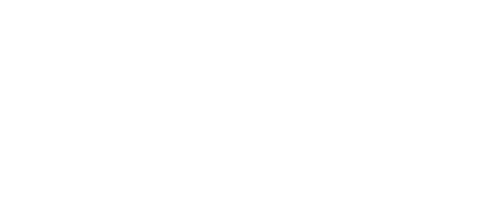 API_White_Logo
